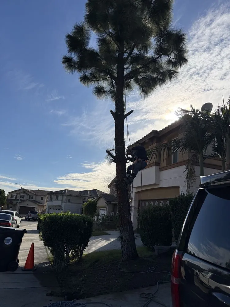 Custom residential landscaping for beautiful yards across Victorville, CA - Golden Ace Landscaping