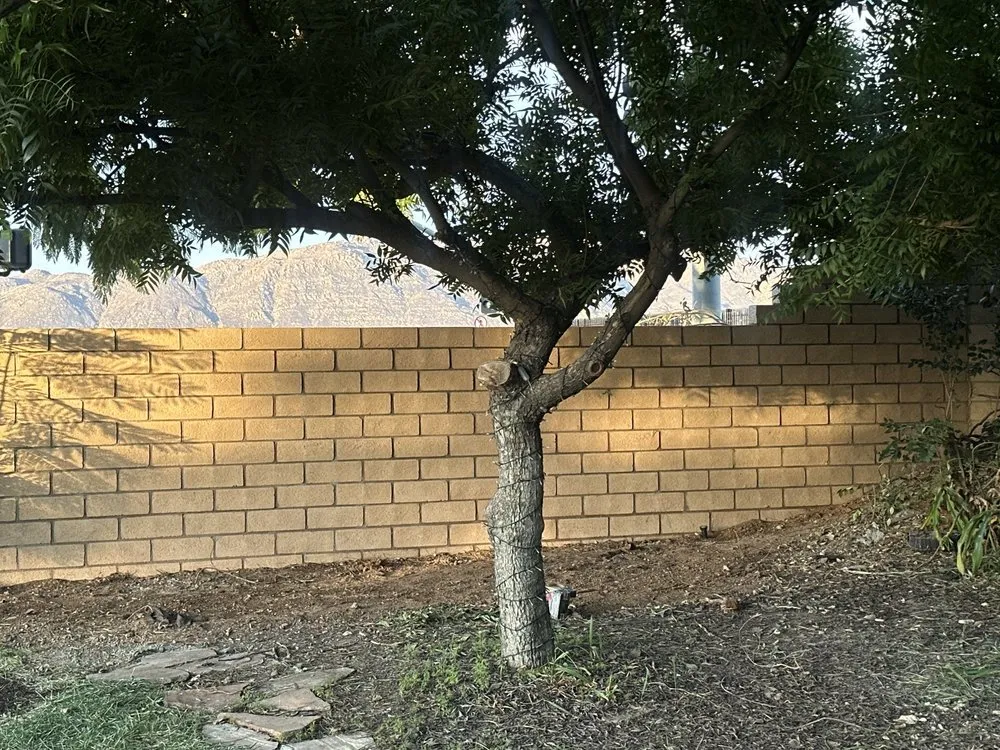 Trusted residential landscaping for residential properties in Moreno Valley, CA by Golden Age Landscape