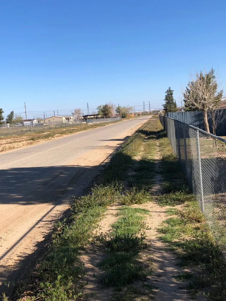 Trusted lawn mowing service experts serving San Jacinto, CA - Golden Arrow Landscape