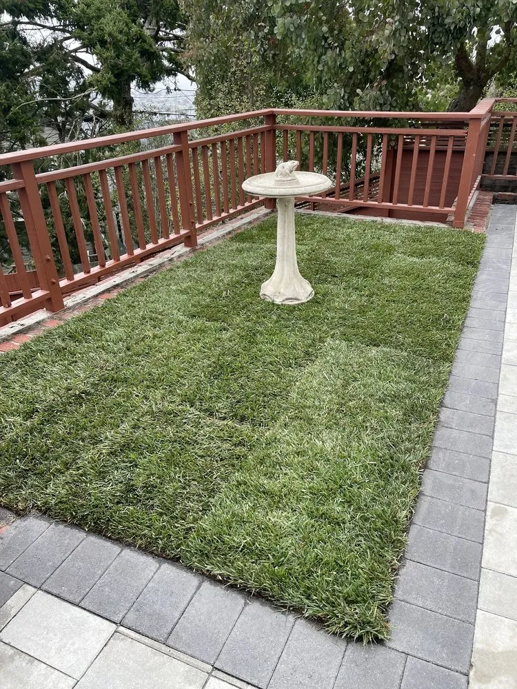 Top-rated landscape installation experts serving Menlo Park, CA - Golden Bay Landscaping