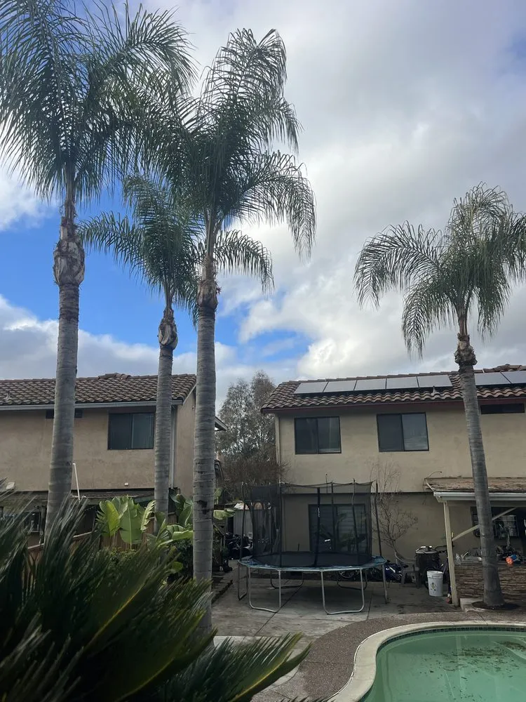 Top-rated lawn care service with custom design across Concord, CA - Golden Bay Lawn Care