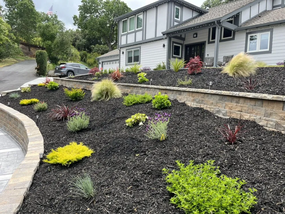 Expert landscaping services for residential properties across Concord, CA - Golden Bay Lawn Care