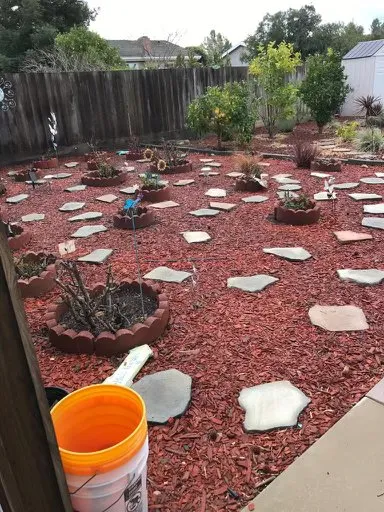 Affordable lawn care service for year-round maintenance across Concord, CA - Golden Bay Lawn Care