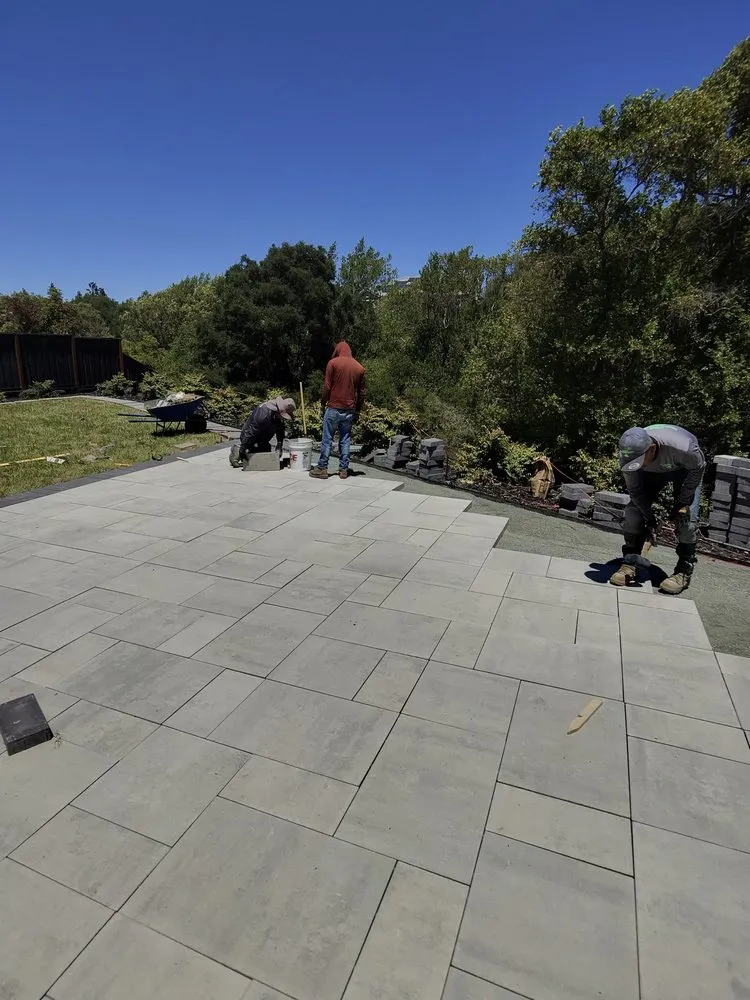 Custom yard cleanup service in Concord, CA - Golden Bay Lawn Care