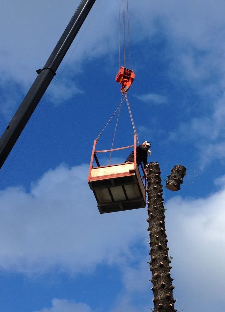 Custom outdoor landscaping for homes in Key West, FL by Golden Bough Tree Service