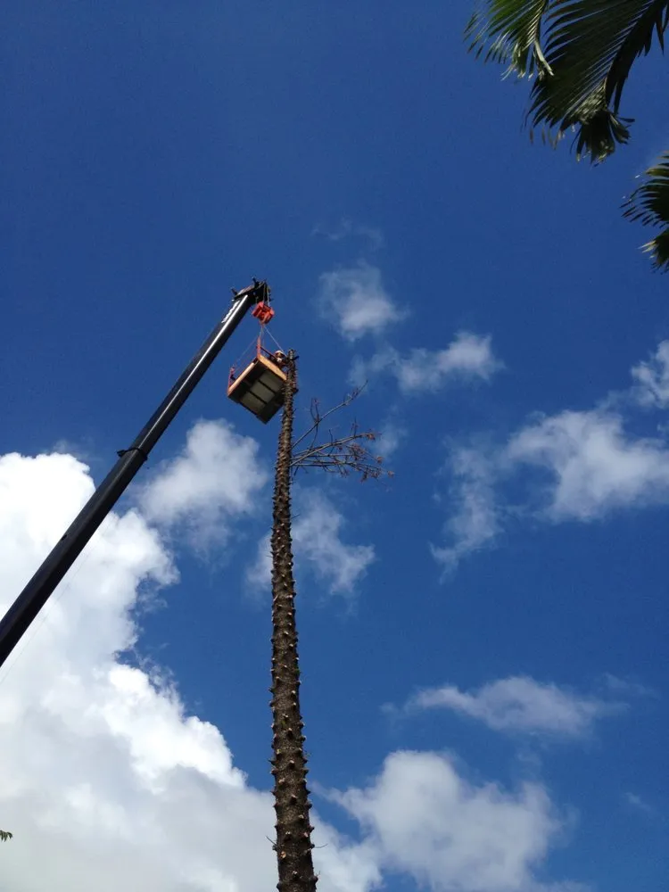 Custom outdoor landscaping experts serving Key West, FL - Golden Bough Tree Service