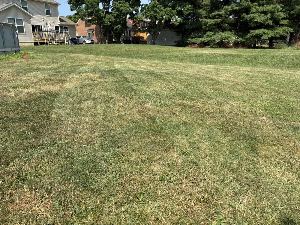 Custom outdoor landscaping for year-round maintenance across Euclid, OH - Golden Boys Landscaping