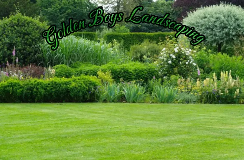 Expert yard cleanup service in Euclid, OH by Golden Boys Landscaping
