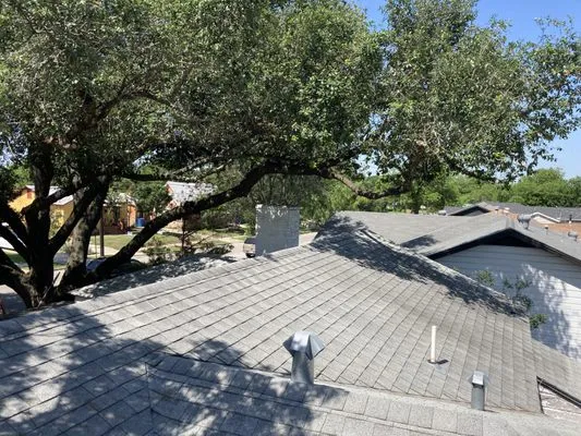 Golden Branch Tree Service & Landscaping Logo