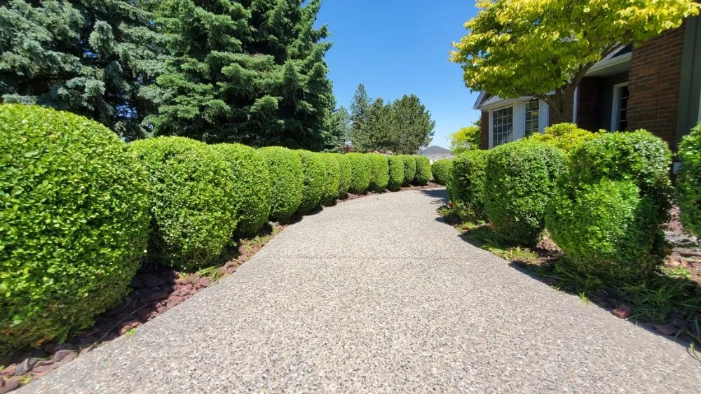 Expert garden landscaping for beautiful yards across Spokane Valley, WA - Golden Cut Landscape