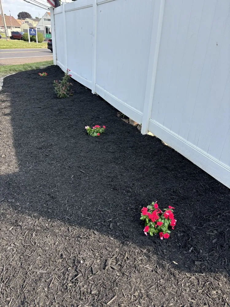 Professional yard maintenance near you across Newportville, PA - Golden Cut Landscaping