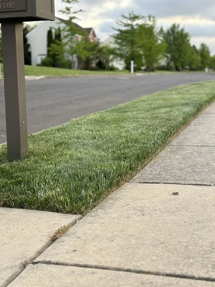 Trusted residential landscaping experts serving Newportville, PA - Golden Cut Landscaping