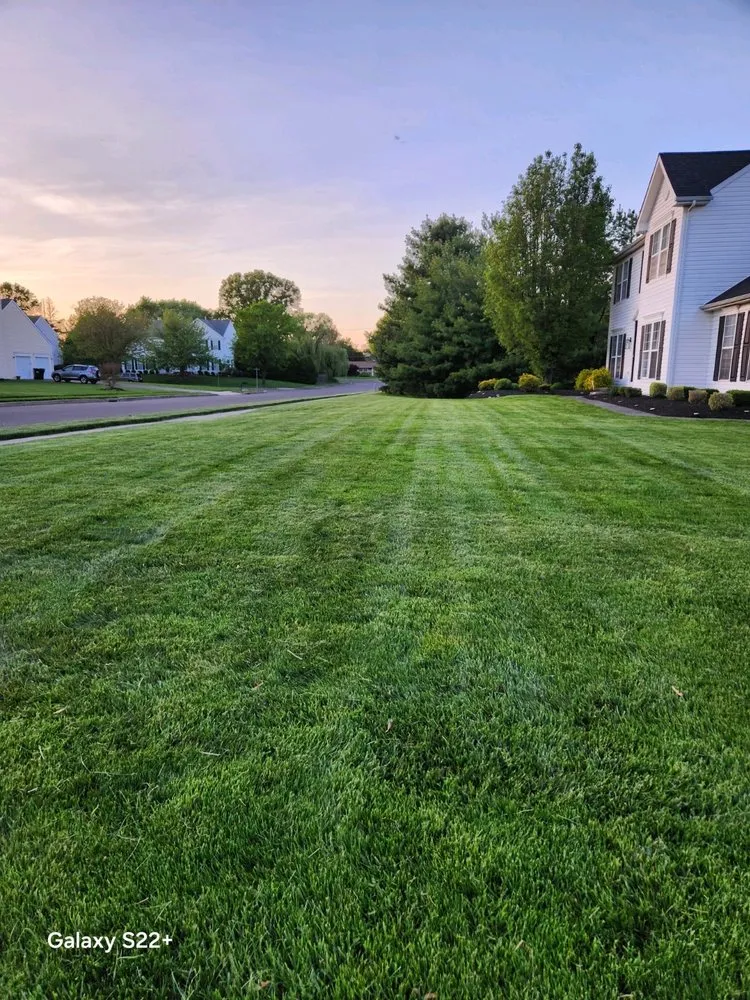 Professional yard cleanup service in Newportville, PA by Golden Cut Landscaping