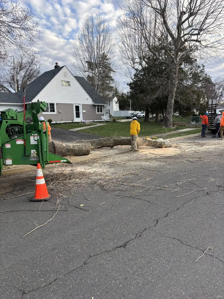Reliable landscape installation experts serving Newportville, PA - Golden Cut Landscaping