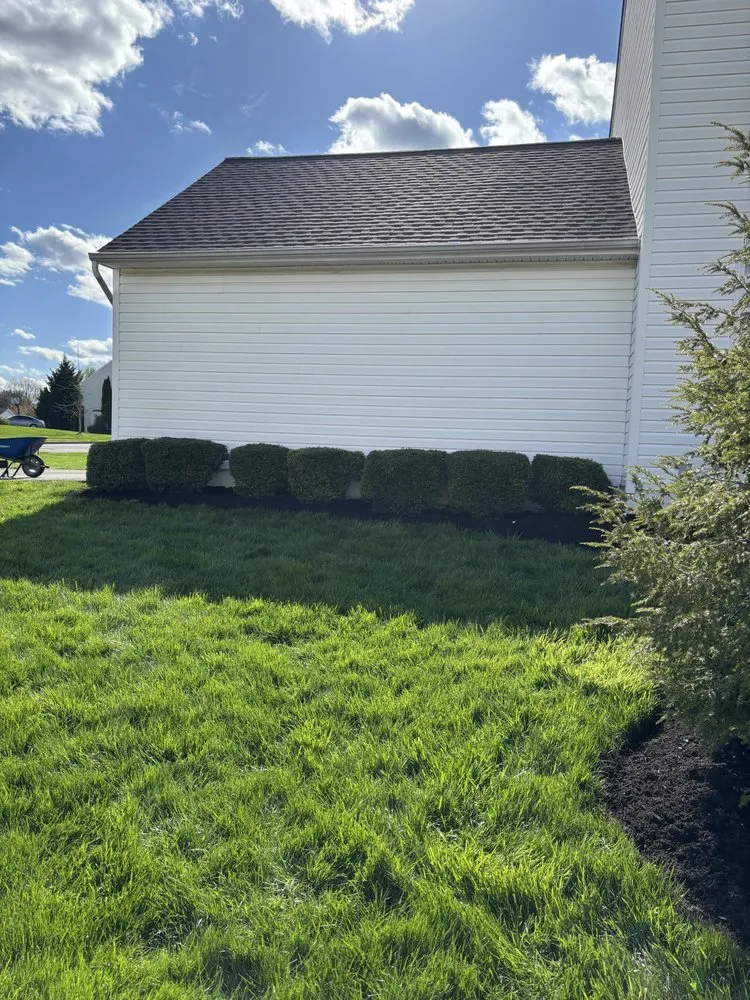 Affordable yard cleanup service experts serving Newportville, PA - Golden Cut Landscaping