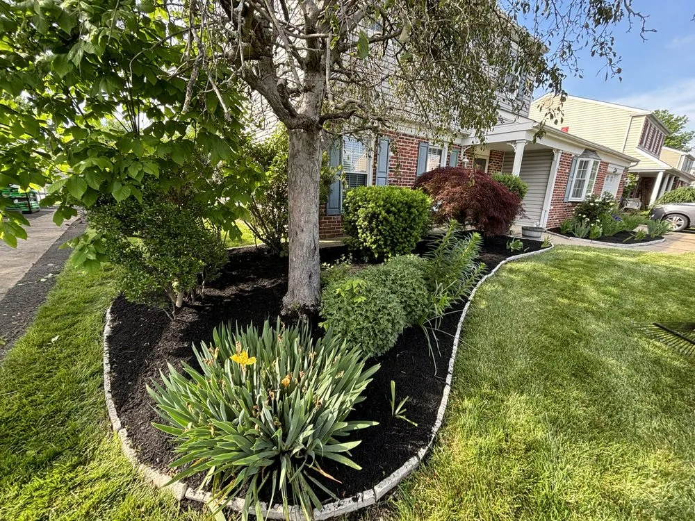 Professional yard cleanup service in Newportville, PA by Golden Cut Landscaping