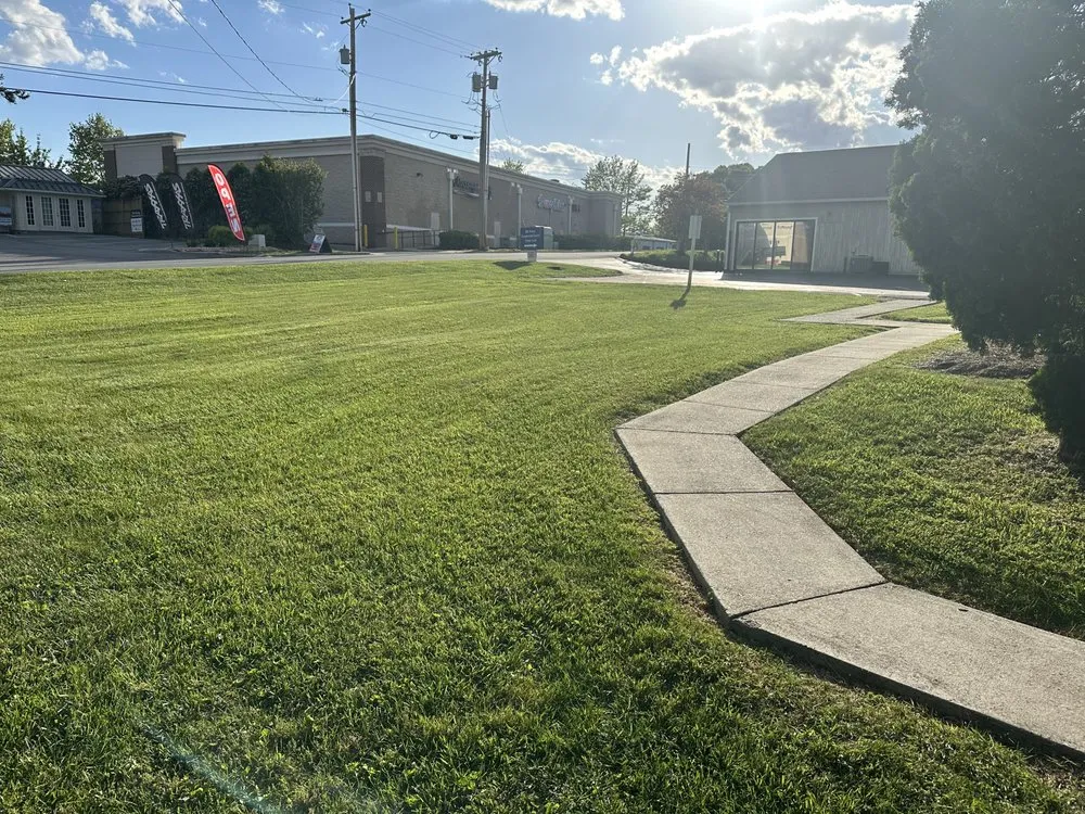 Expert yard cleanup service for residential properties across Lynchburg, VA - Golden Cut Lawn Care