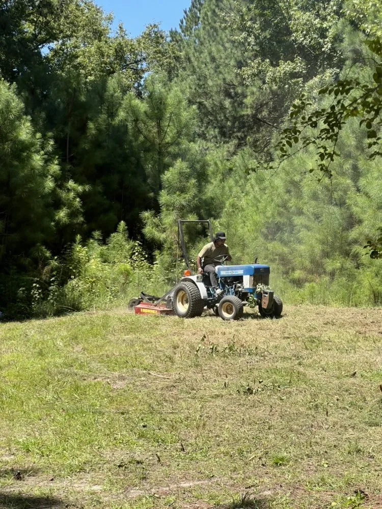 Expert yard cleanup service in Bear Creek, NC - Golden Eagle Clear & Green Services