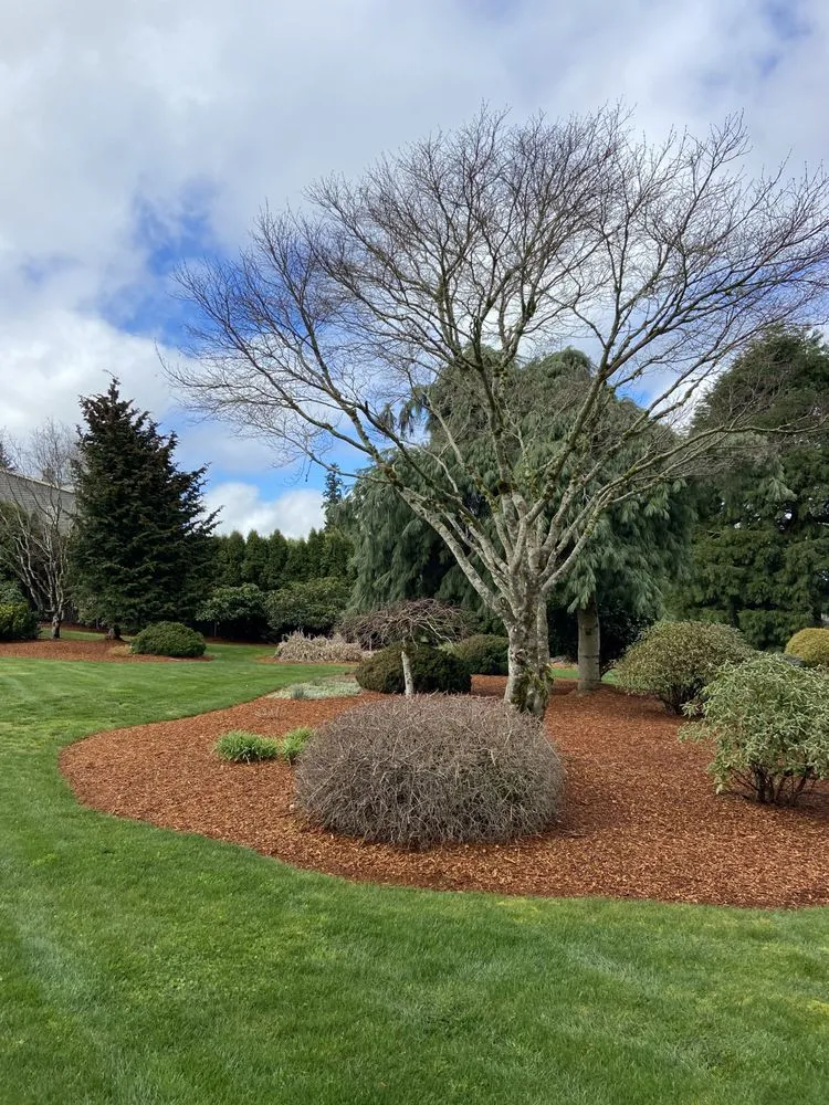 Reliable lawn care service for outdoor upgrades in Portland, OR by Golden Eagle Hardscapes