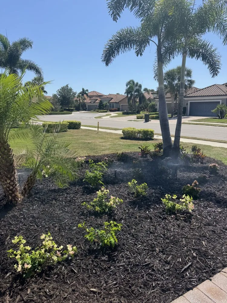 Reliable lawn mowing service for outdoor upgrades across Palmetto, FL - Golden Escapes