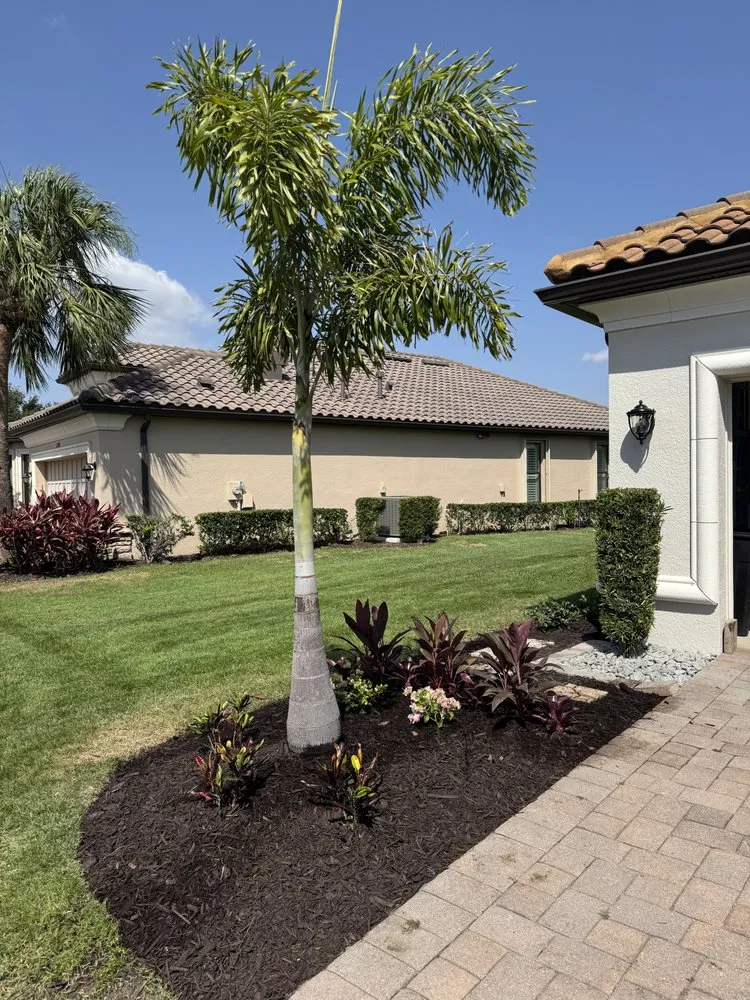 Trusted yard maintenance near you in Palmetto, FL by Golden Escapes
