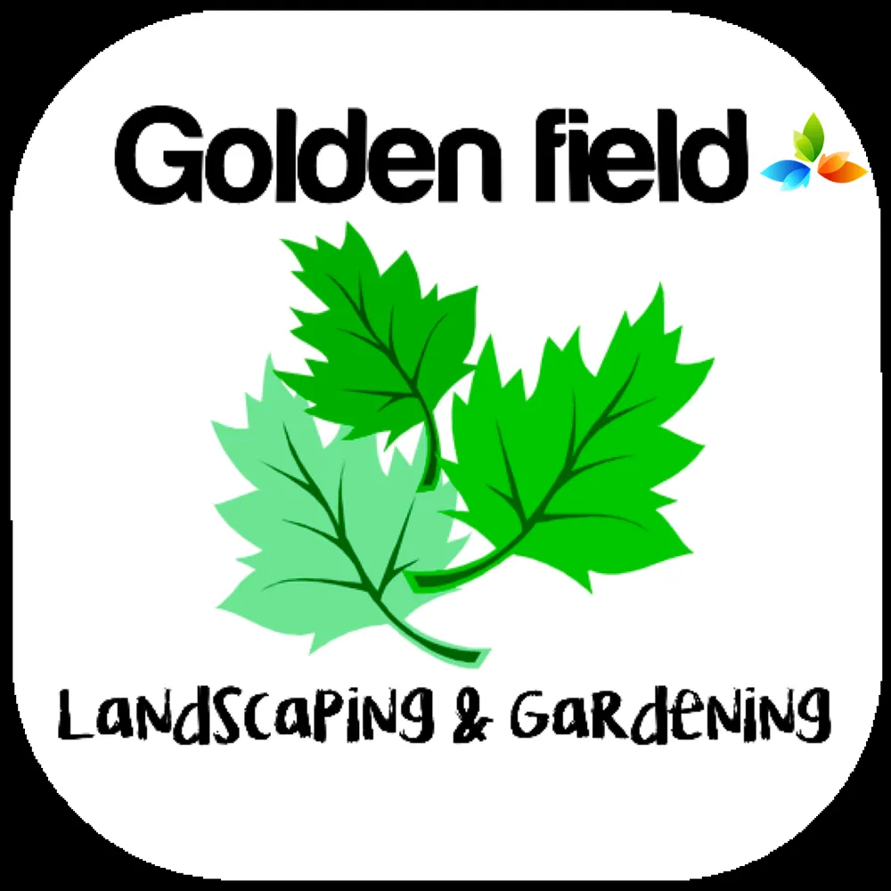 Reliable yard maintenance in Santa Rosa, CA by Golden field