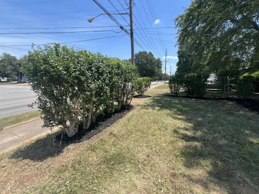 Top-rated lawn mowing service in Decatur, AL - Golden Flower Landscaping