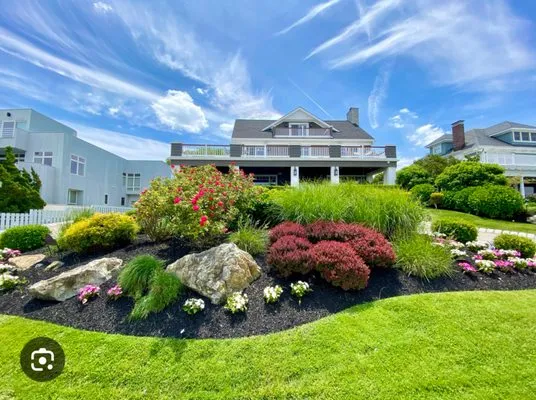 Golden Garden Landscape