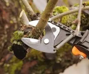 Affordable landscape design in Bound Brook, NJ by Golden Gardens Multiservices