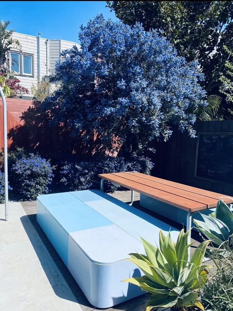 Reliable yard cleanup service in Emeryville, CA by Golden Gate Gardens