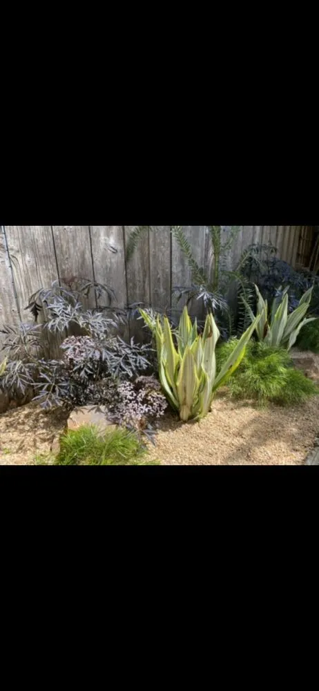 Professional garden landscaping in Emeryville, CA by Golden Gate Gardens