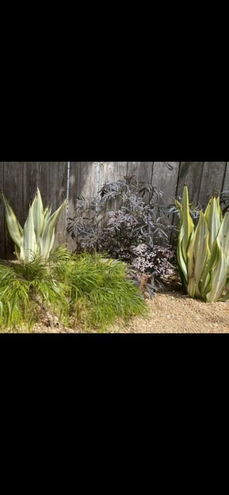 Custom landscaping services experts serving Emeryville, CA - Golden Gate Gardens