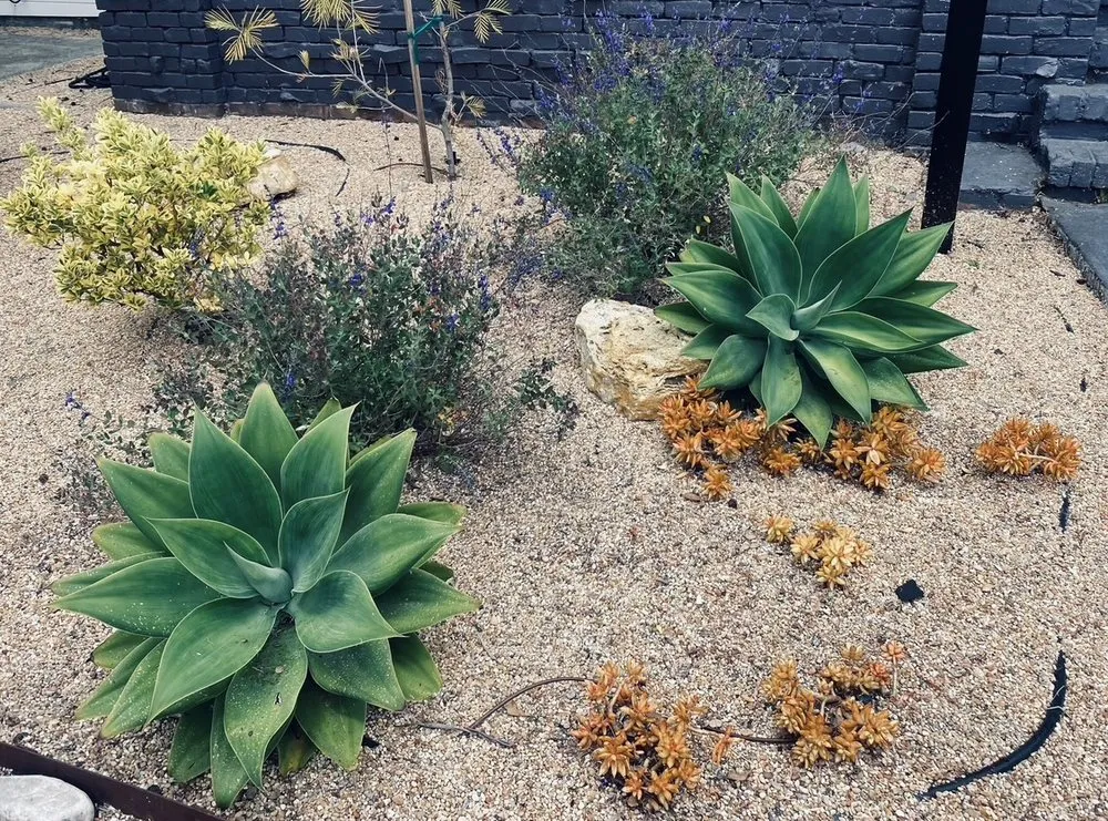 Affordable garden landscaping for year-round maintenance in Emeryville, CA by Golden Gate Gardens