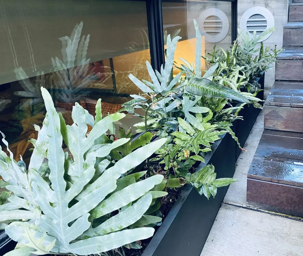 Reliable yard cleanup service experts serving Emeryville, CA - Golden Gate Gardens