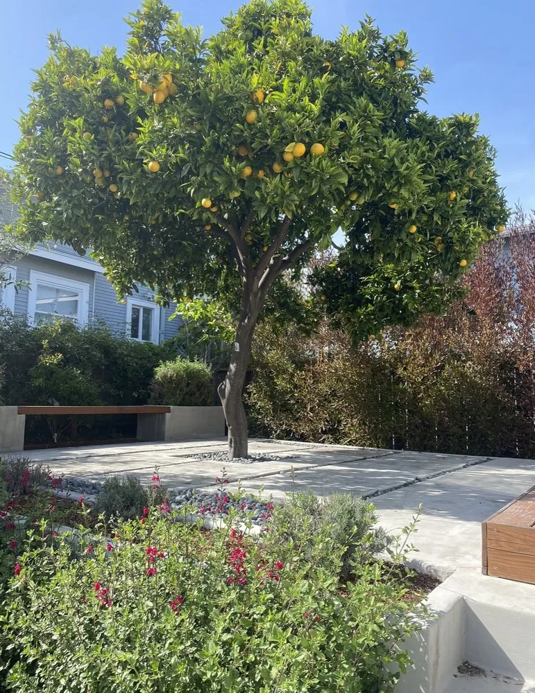 Local yard maintenance in Emeryville, CA - Golden Gate Gardens