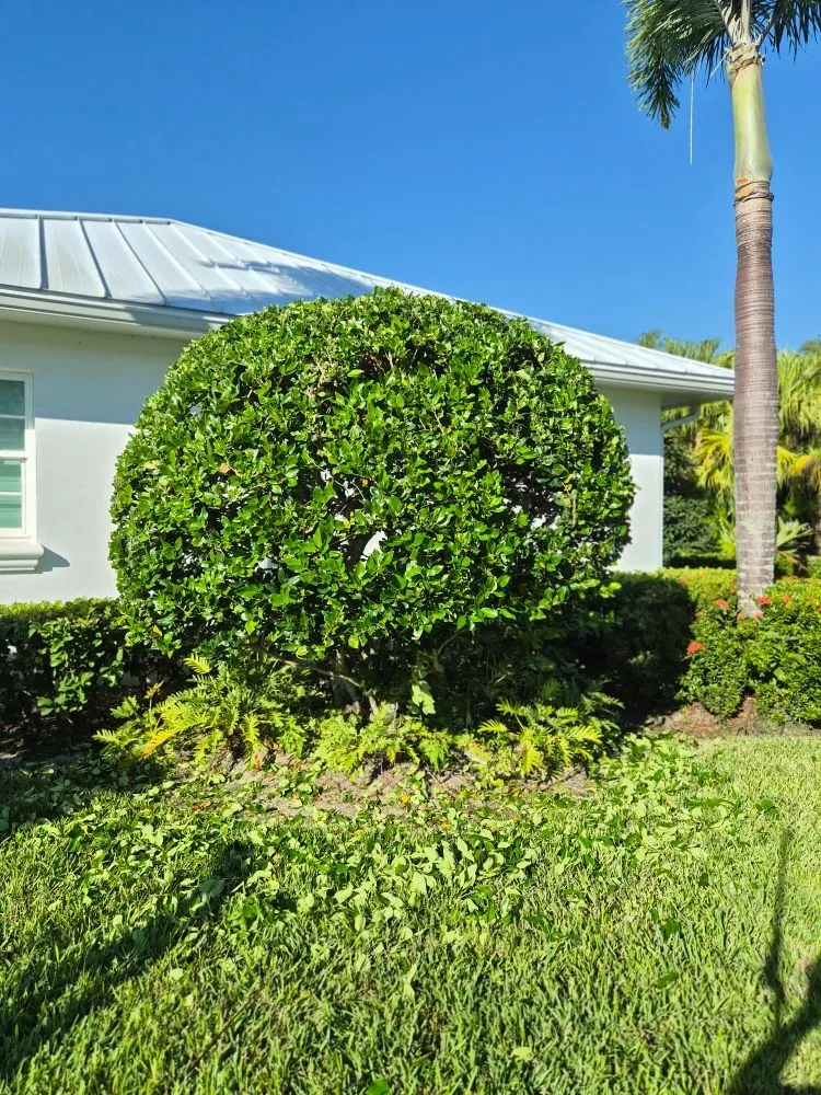 Custom landscaping services in Vero Beach, FL - Golden Groves