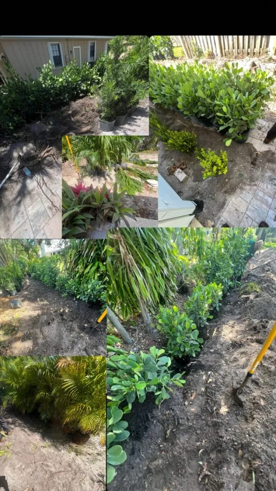 Trusted garden landscaping experts serving Vero Beach, FL - Golden Groves
