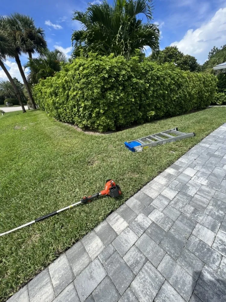 Top-rated residential landscaping in Vero Beach, FL - Golden Groves