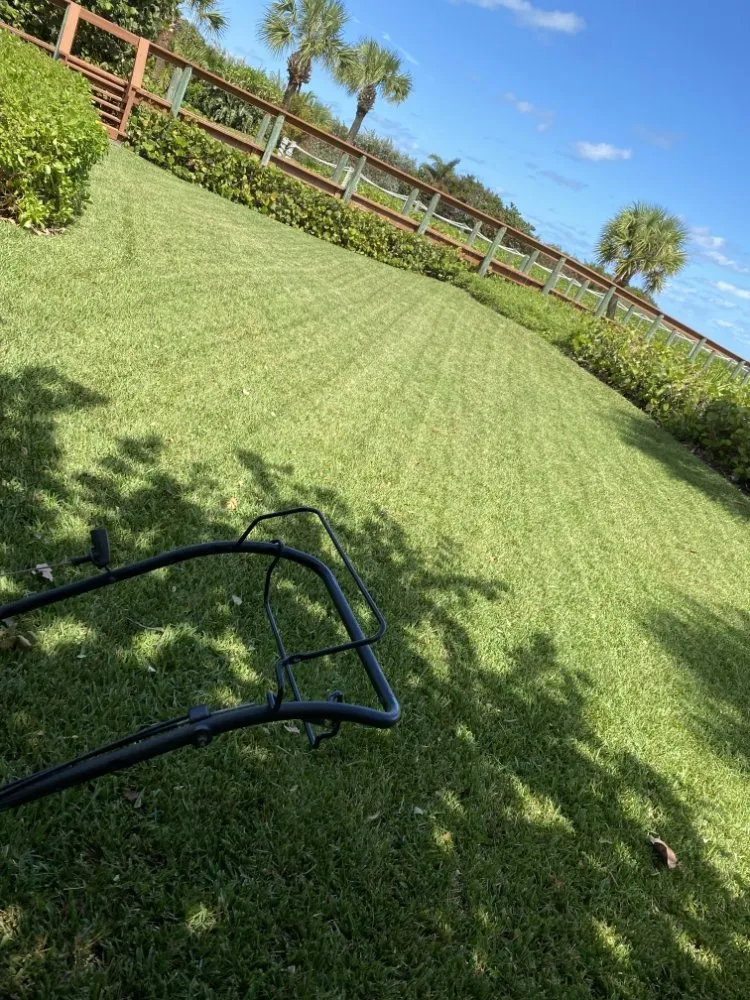 Reliable lawn care service in Vero Beach, FL by Golden Groves