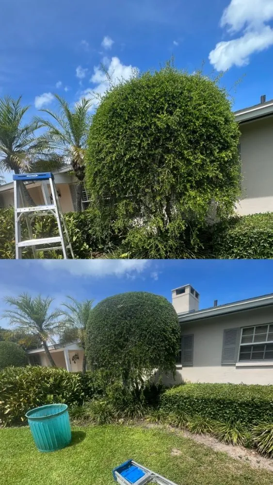 Affordable outdoor landscaping in Vero Beach, FL - Golden Groves