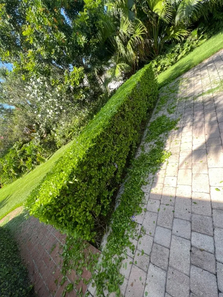 Reliable landscaping services with custom design in Vero Beach, FL by Golden Groves