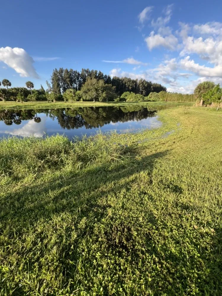Custom outdoor landscaping in Vero Beach, FL - Golden Groves