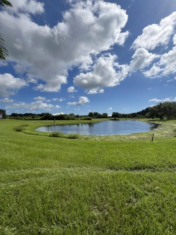 Reliable yard cleanup service in Vero Beach, FL by Golden Groves