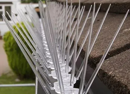 Custom lawn care service in San Mateo, CA - Golden Gutter Cleaning