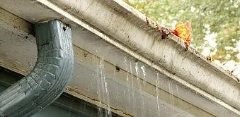 Affordable lawn mowing service in San Mateo, CA by Golden Gutter Cleaning