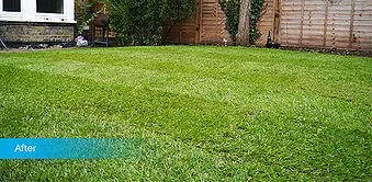 Affordable lawn mowing service in San Mateo, CA - Golden Gutter Cleaning