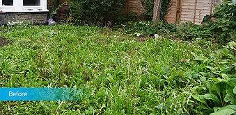 Affordable landscaping services with custom design in San Mateo, CA by Golden Gutter Cleaning