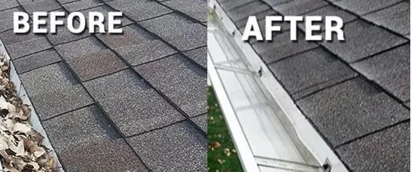 Custom lawn care service in San Mateo, CA - Golden Gutter Cleaning