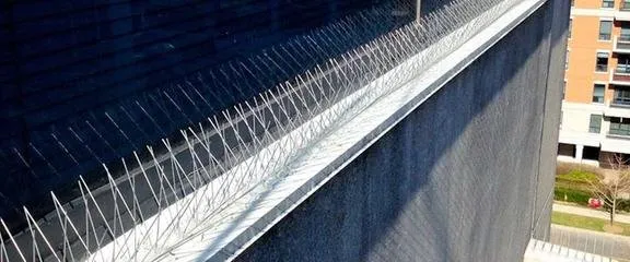 Professional lawn care service for homes in San Mateo, CA by Golden Gutter Cleaning