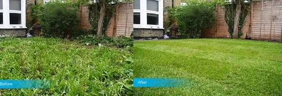 Custom landscaping services in San Mateo, CA by Golden Gutter Cleaning